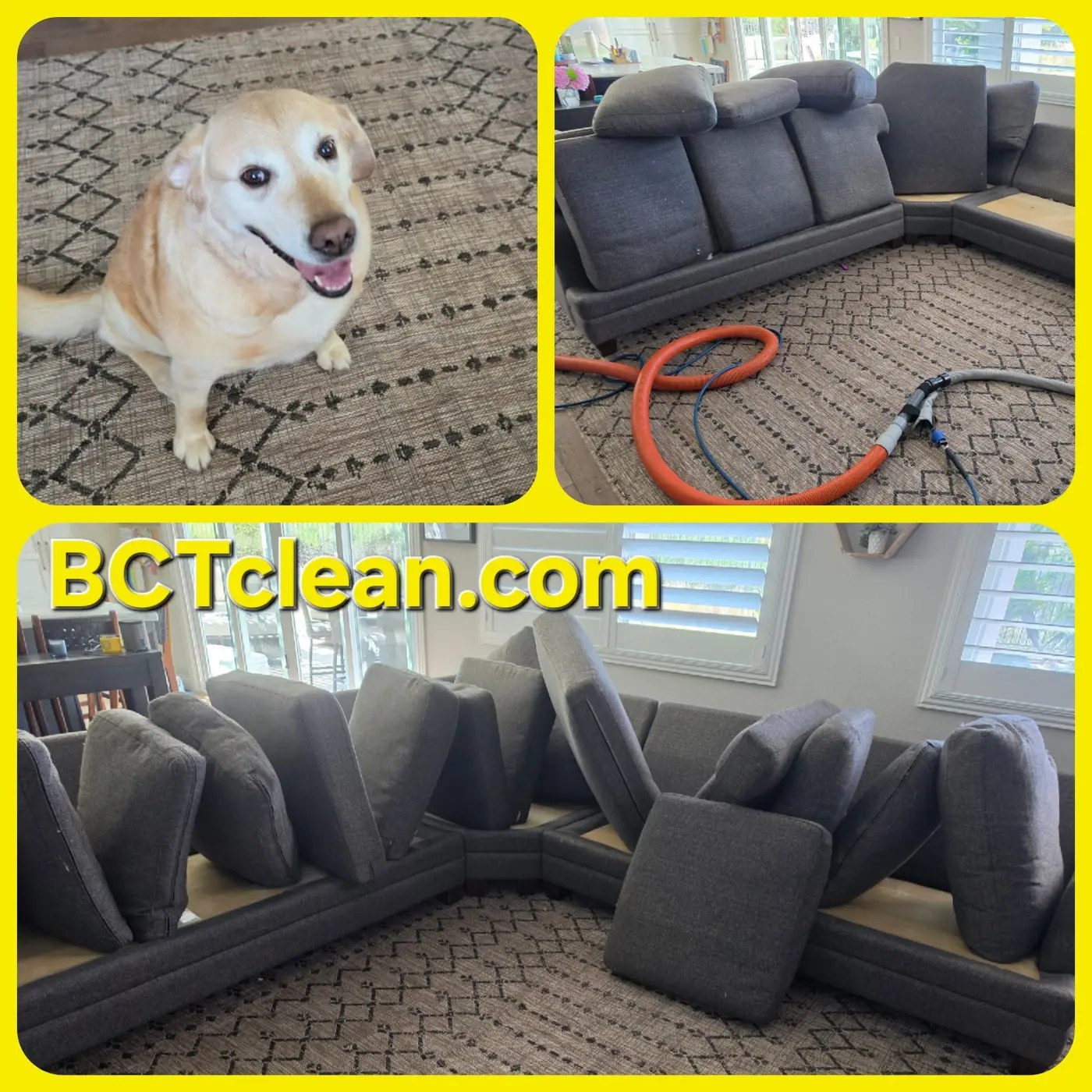 Better Call Tony upholstery cleaning on a sectional